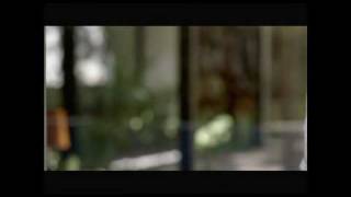 Windex 2010 Ad