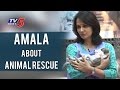 Amala about Animal Rescue & Blue Cross Animal Shelter | Amala Interview | TV5 News