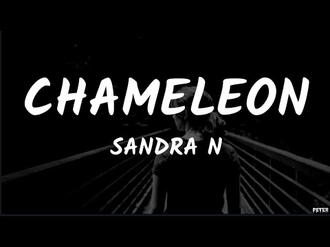 Sandra N - Chameleon  (Lyrics Video)