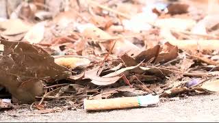 Business owner hoping for change with Warner Robins new policing program