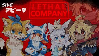 【コラボ】可愛い子の怖がってる姿がみたいのです！【Vtuber】