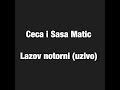 Ceca i Sasa Matic - Lazov notorni (uzivo)