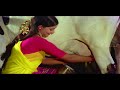 Entha Poovilum Vaasam Undu Song | Murattu Kaalai Tamil Movie Songs | Rajinikanth | Rati | Ilayaraja Mp3 Song