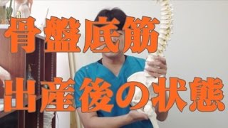 産後の骨盤底筋群の状態札幌市西区の整体ケアスル