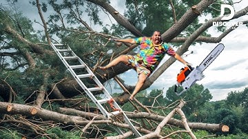 Idiots With Chainsaws - Tree Cutting Fails | Extreme Dangerous Logging Truck Fails #5