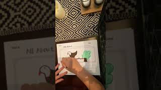 Bald Eagle Directed Draw