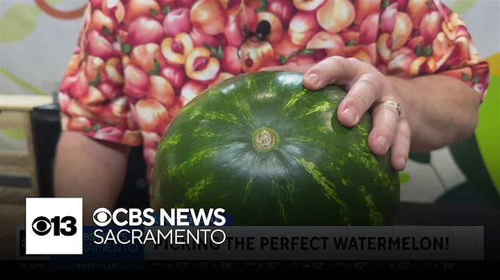 How to pick the perfect watermelon | Lunch Break with Michael Marks