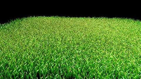 Simple grass with Lightwave
