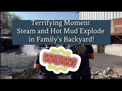 The Day Ree Marie's World Imploded: The Leak