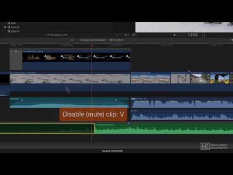 Final Cut Pro FastTrack 201: Pro Audio Techniques - 6. Audio in the Project Timeline