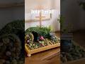 Dollar Tree Easter DIY ✝️ Resurrection DIY Decor #easterdiy #dollartreediy #viraldiyoutube