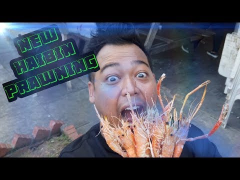 Insane Prawn Catching at Hai Bin Singapore