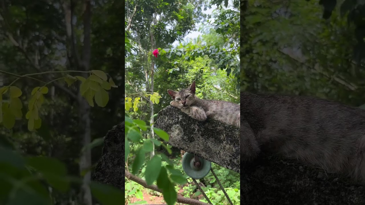 Pinkymol☺️😍😝😜