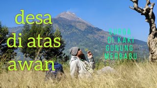 gunung merbabu .keindahan Alam pintu masuk gunung Merbabu via Selo Boyolali desa di atas awan