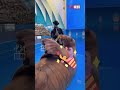 “能吹萨克斯 会飞吻” 海象米沙用音乐才华征服观众 #animals