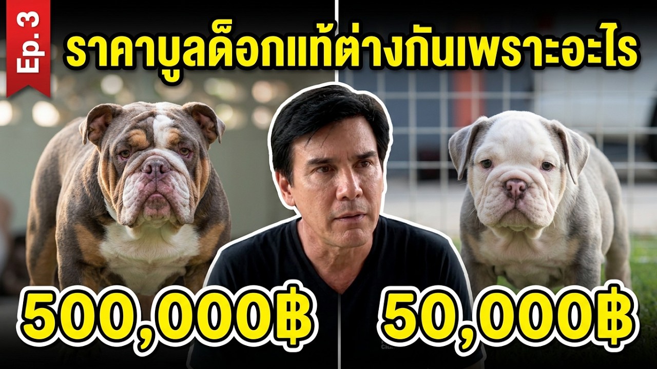 Latest Title & Thumbnail