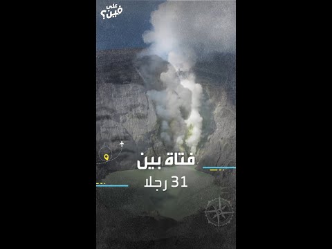 31 رجلا يتصارعون على فتاة في جزيرة معزولة