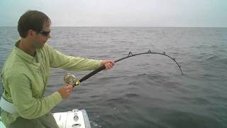 Shore Catch Guide Service