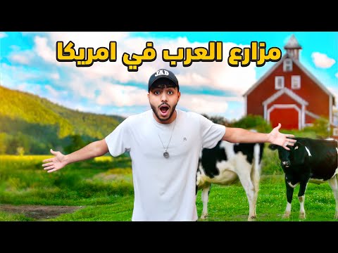 دخلت مزارع العرب في أمريكا الاف الأراضي وسط الطبيعة
