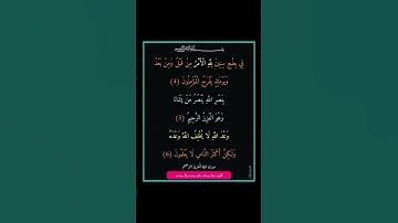 سورة الروم - سورة 30 - اية (06-04)