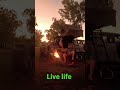 Sun down vibes #shorts #vanlife
