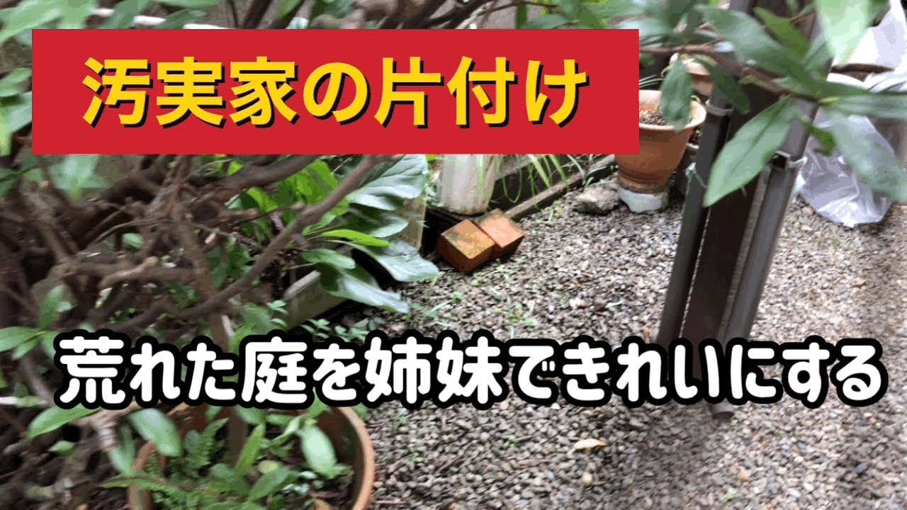 庭の片付け 素人が剪定 天気良い日に実家の庭と外回りの片付け 腰痛 実家の片付け 姉妹で Youtube
