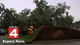 Fast-moving storms leave massive damage across SE Michigan thumbnail