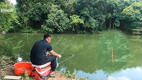 Câu Đài | Kiếm cá Rô Phi về cho má nấu canh chua, mà sao KHÓ QUÁ - Mồi câu cá Khó Chịu