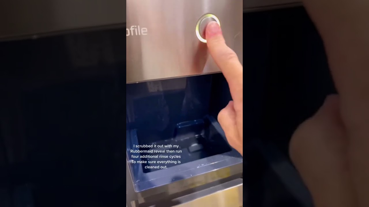 Cleaning My Nugget Ice Machine