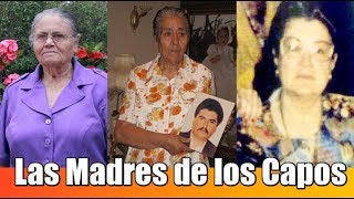 Madre de capo no se toca: el último de los códigos del narco vigente