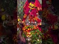 SRI SRI SRI MAA BUDI THAKURANI || BRAHMAPUR || GANJAM || @m@maa_balya_danda_kali_lochapadatrending