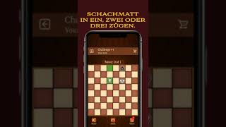 Schach spielen lernen screenshot 5