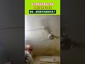 電工師傅給家裏裝了吊扇風扇，只能開但不能關！網友:趁風扇不註意就可以了