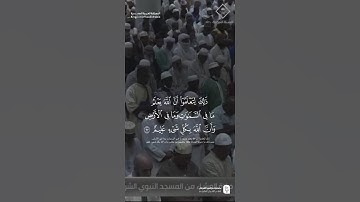 مقتطف من تلاوة فضيلة الشيخ #عبدالمحسن_القاسم من صلاة العشاء 29 ذو القعدة 1446