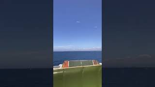SOMEWHERE OUT IN THE OCEAN #shorts #ocean #sea