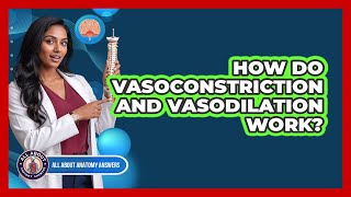 How Do Vasoconstriction And Vasodilation Work?