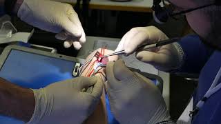 VI Lucerne 2020 Vascular Access Course
