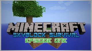 SkyBlock Survival Challenge - Episode 1
