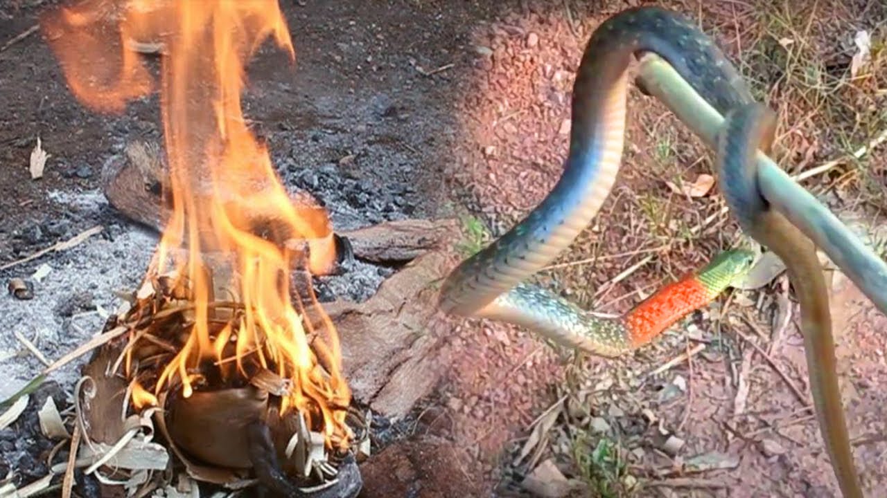 Змея кусает и не отпускает — традиционное блюдо | @thegioiran