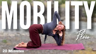 20 Min Mobility Flow • Options for Limited Mobility