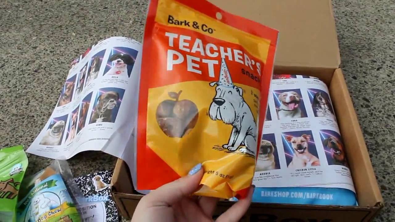 4 Different Dog Monthly Subscriptions Boxes