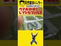 【ウナギの子供「レプトセファルス」見たことある？】谷田圭太は様々な天然食材を捕獲・採集し数々の飲食店へと卸す「天然食材ハンター」です