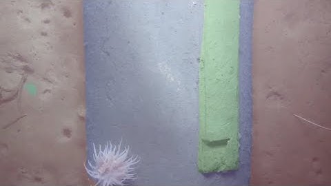 NaviSuite Deep learning