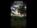 Why we shake hands revealed