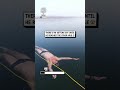 Man free dives under ice 🥶🤿😳                      🎥: IG/@jan .kepic via ViralHog