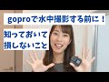 【初心者向け】goproで水中撮影する時の準備〜撮影方法！ちょっとしたコツあります