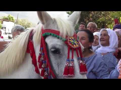 Damat Gelini At Sırtında Getirdi /  Groom Bride on Horse