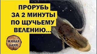 Прорубь для купания за 2 минуты бензопилой. Прорубь для купания за 2 минуты бензопилой.