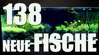 250x110x100cm  Neue Fische, Pflanzenschnitt und ein Fahrplan für die Zukunft!