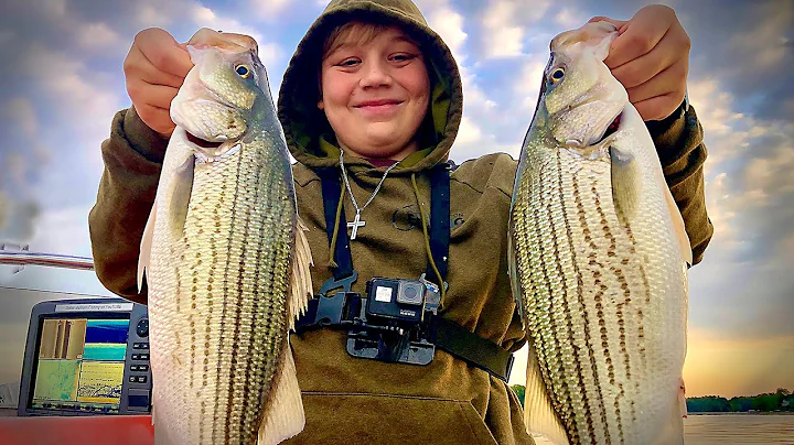 Striped Bass and Hybrid Bass Fishing on Lake Norman